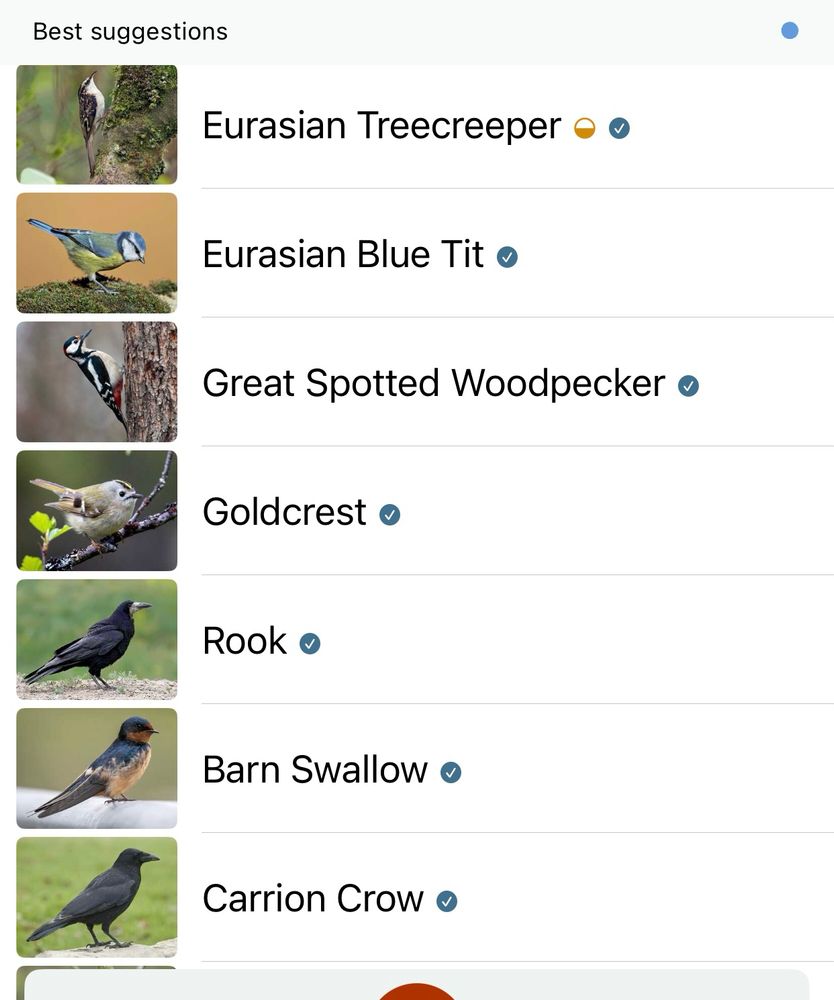 Merlin app list of birds heard earlier this morning