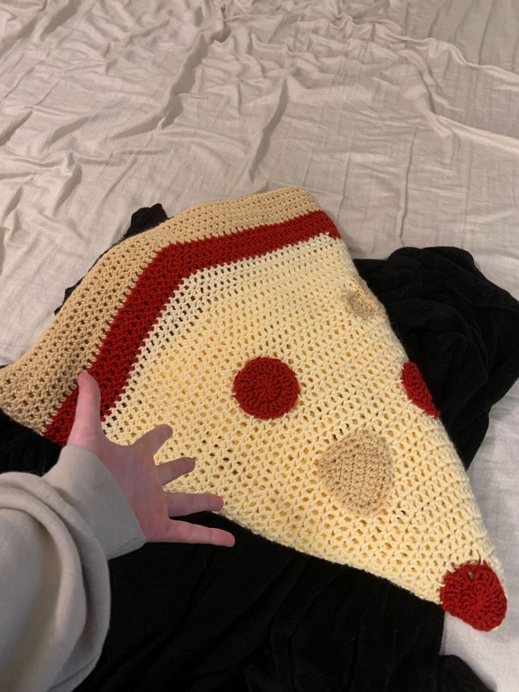 pizza blanket slice 😏