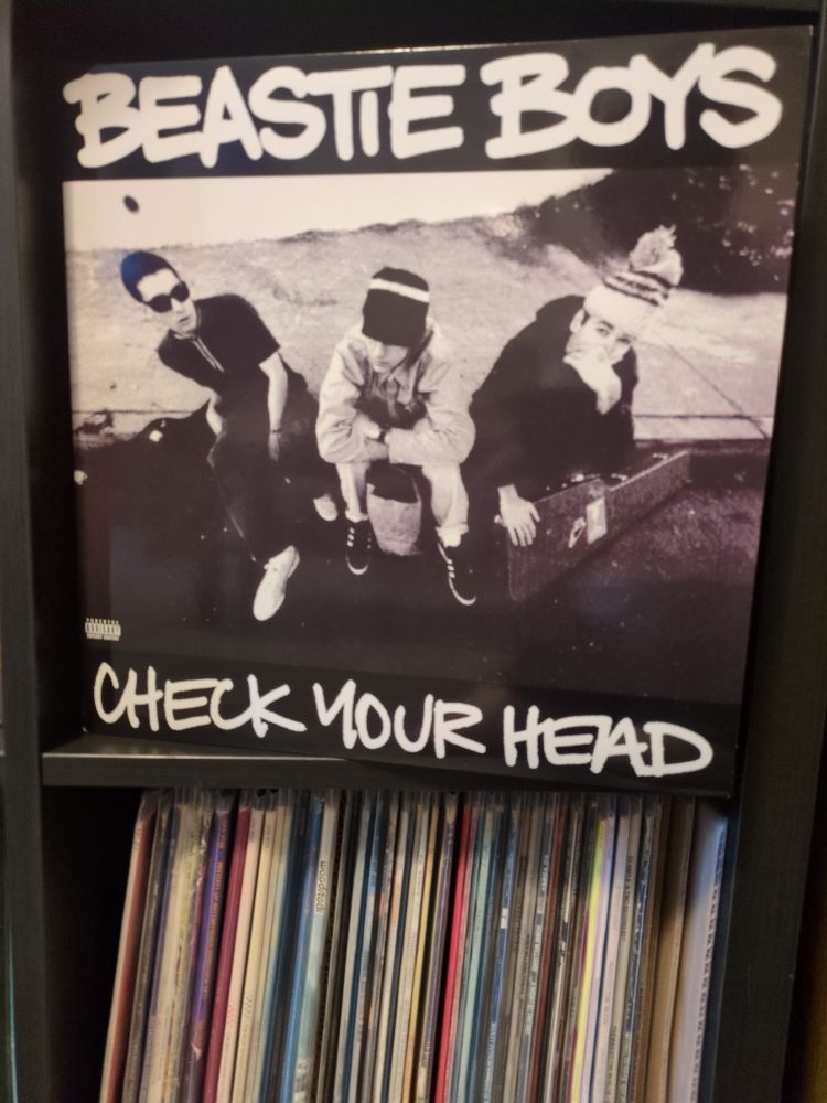 Beastie Boys Check Your Head vinyl record