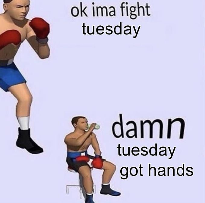 ok ima fight tuesday.

(2 hours later)

damn, tuesday got hands.