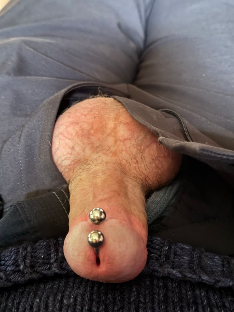 My cock sticking out of my pants showing full view of my Prince Albert piercing.