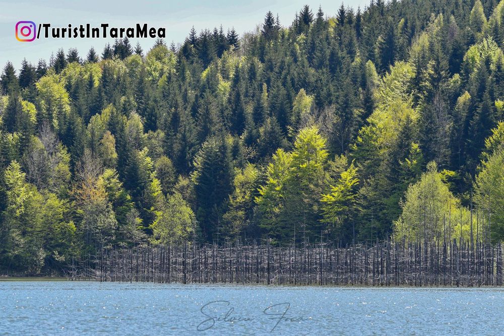Lacul Cuejdel - Neamț, 2023-05-14 