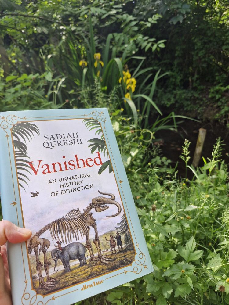 A book is held up amid a surge of green.  Sadiah Qureshi, Vanished: An Unnatural history of extinction' the cover reads. A historical image of a wooly mammoth skeleton, alongside a living elephant with some people nearby, is the cover image. 