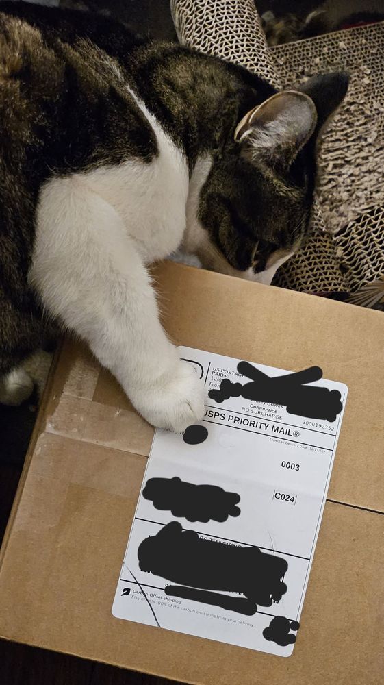 My cat, Nova, sniffing the side of package containing my commissioned yarn bowl from Amy Rae Hill.  One of her paws is holding the box down.