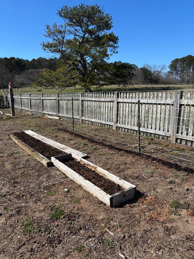 A winter garden with two different spots that have been planted. In the foreground is a row of onions and in the background is a cattle panel held upright by two green stakes. The brown mulch covers the newly planted onion and sweet pea sets.