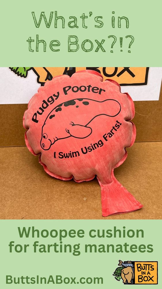 A red-rust colored whoopee cushion, with the black outline of a cartoon manatee, and the wordsL Pudgy Pooter I swim using farts. 