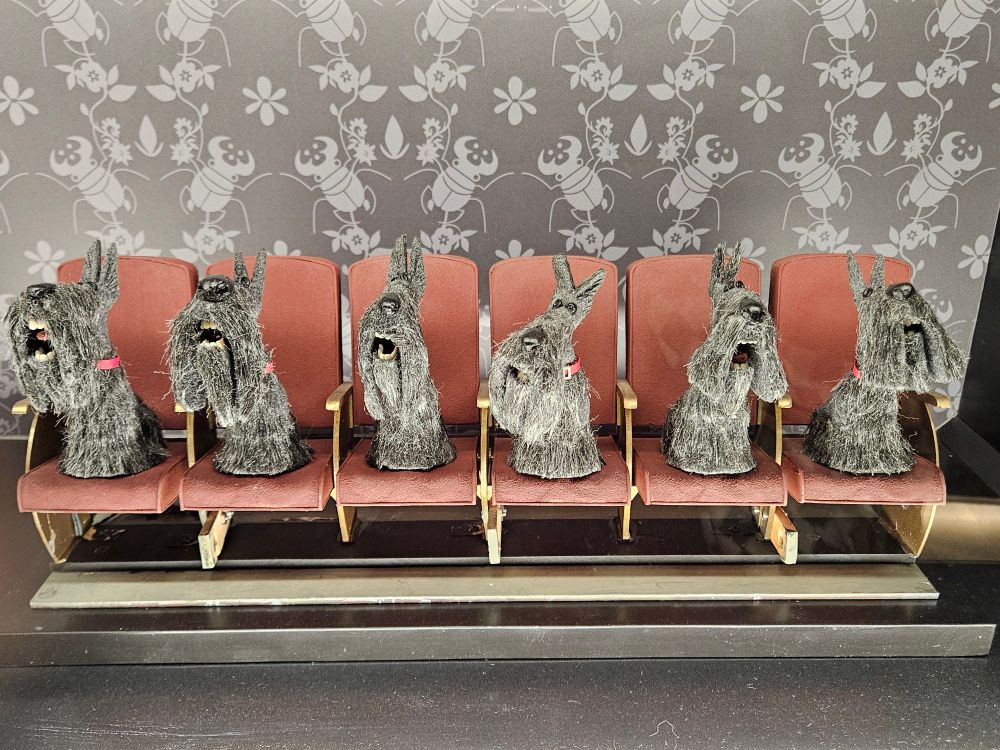 Rangée de schnauzer nains dans des sièges de cinéma 