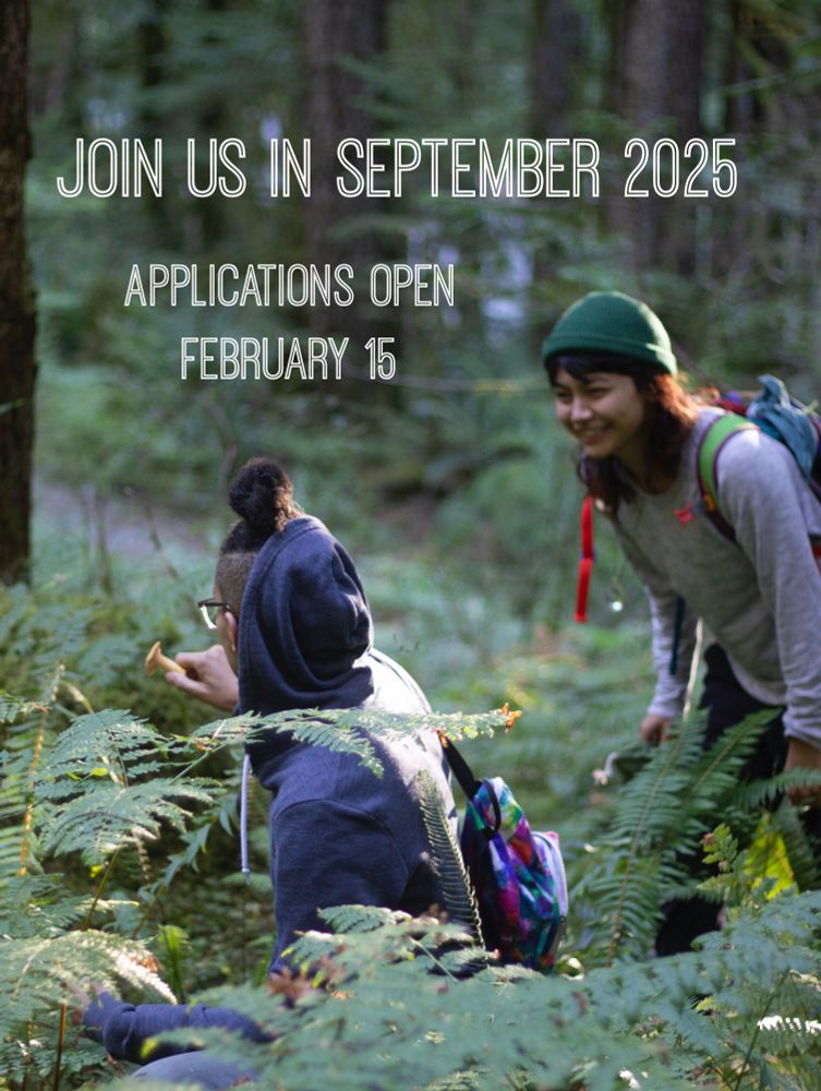 Two retreaters forage for mushrooms in the ferns of a forest. Text reads: join us in September 2025. Applications open February 15.