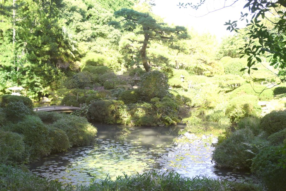 知らないおばさんが写り込んでいたのでフォトショで地道に消しました。どこにいたか分かったあなたはすごい！