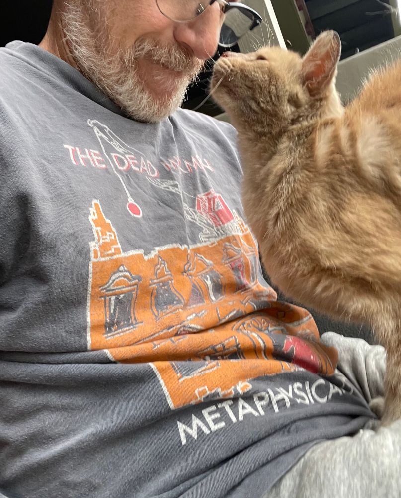 An orange cat stands in the lap of the same man from the previous pictures and puts his nose in his face. 