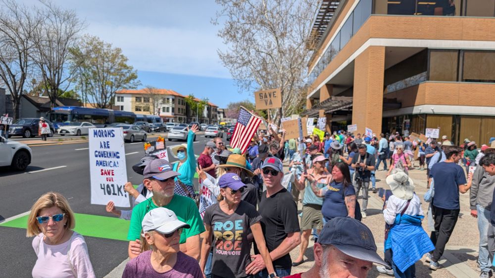 Group of protesters against Trump, Musk and the rest of the administrations at a corner with El Camino and Castro (downtown mountain view Ca)