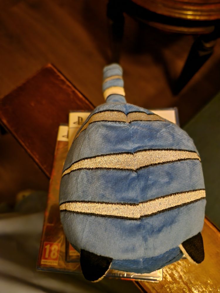 Derpy from KPDH as seen from above