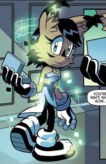Nicole the Holo-Lynx from the Archie Sonic comics.