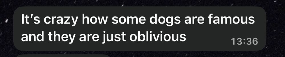 It’s crazy how some dogs are famous and they are just oblivious 