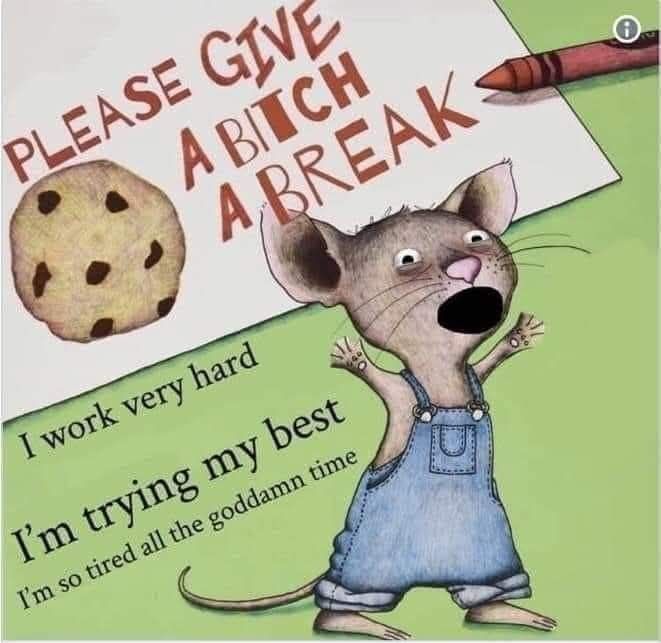 Please give a bitch a break
I work very hard
Im trying my best
Im so tired all of the goddamn time

(If you give a mouse a cookie book cover)