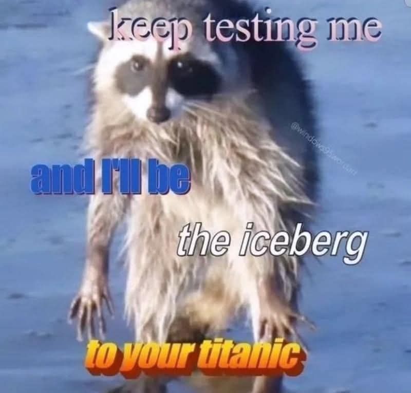 A wet raccoon with text that says "keep testing me and I'll be the iceberg to your titanic"