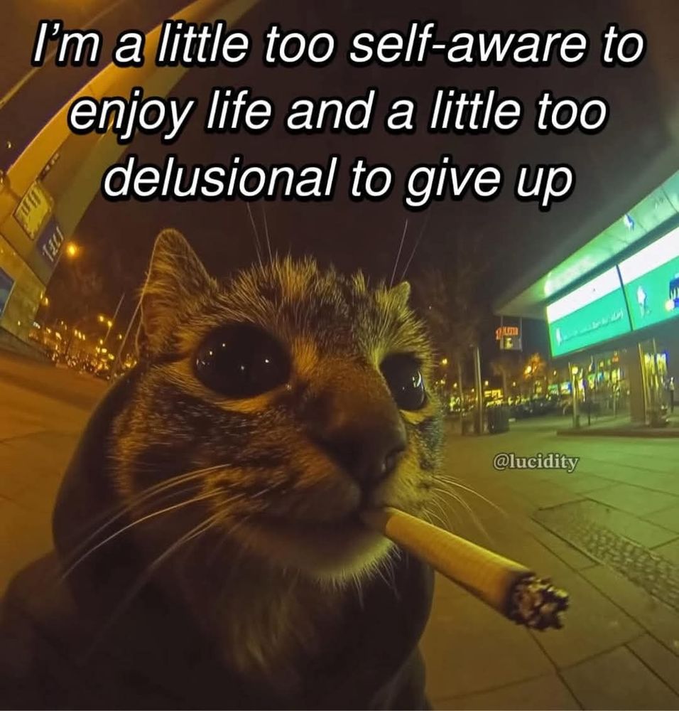A cat smoking with text that says "I'm a little too self aware to enjoy life and a little too delusional to give up"