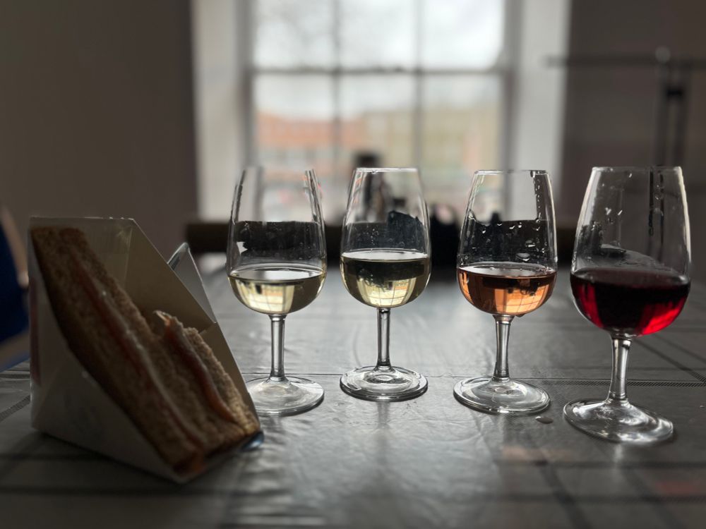 A supermarket smoked salmon and cream cheese sandwich next to four small ISO glasses of wine. There are two whites, a rosé and a red. 