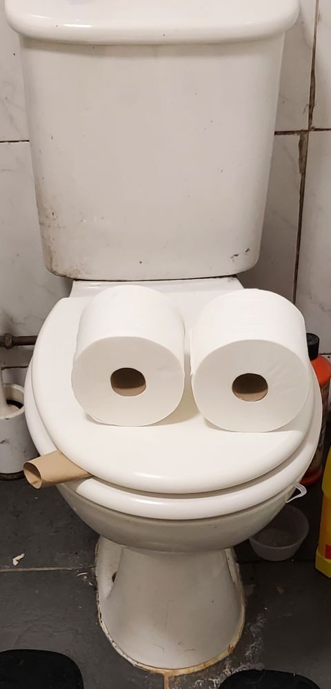 My son placed.two toilet rolls on top of the closed toilet seat  to look like eyes.

And a squashed toilet roll middle sticking out which looks a.little like a cigarette 