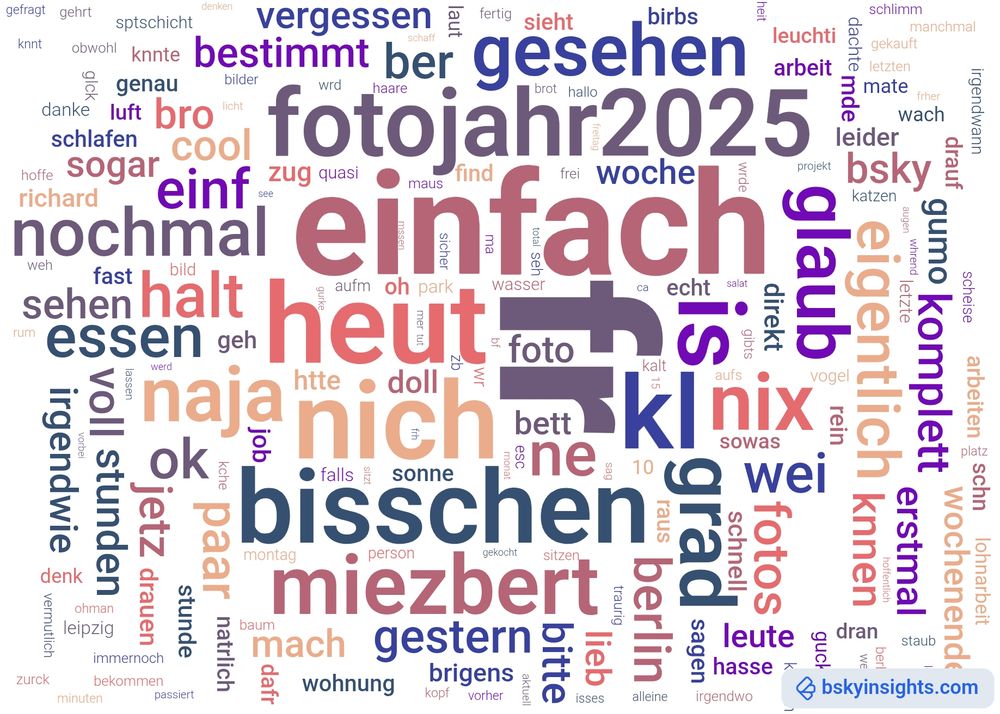 A Word Cloud by bskyinsights.com, showing my most frequently used words on Bluesky. My top 10 words are: fr (177), einfach (120), jedentag2024 (114), heut (94), nich (91), bisschen (87), kl (86), is (80), fotojahr2025 (79), miezbert (70)