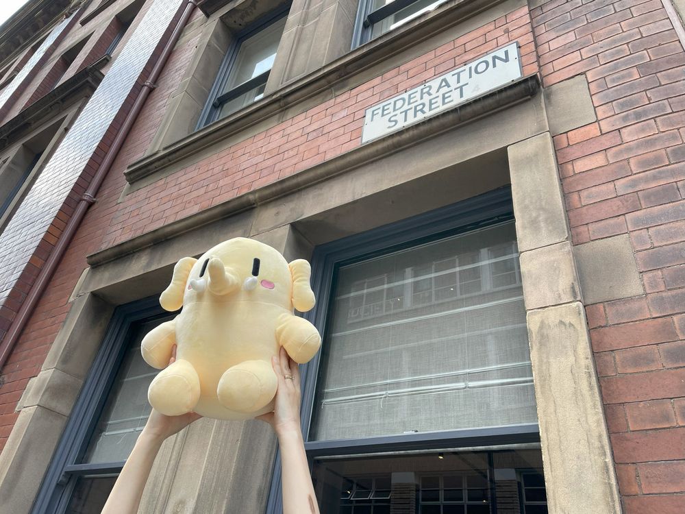 Mastodon Plush being held up by a person in front of a street sign reading "Federation Street"

Image Source: https://shop.joinmastodon.org/products/mastodon-plushie