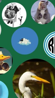 Fragmento del skircle donde se verifica que @anticapitalista está incluido.