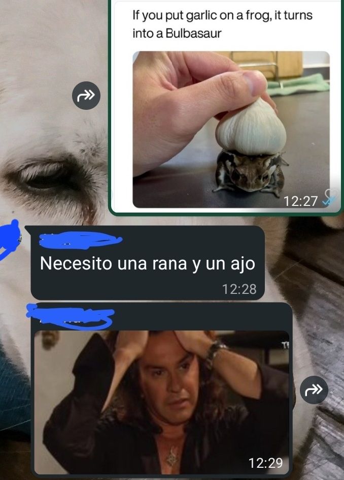Captura de un chat de WhatsApp 