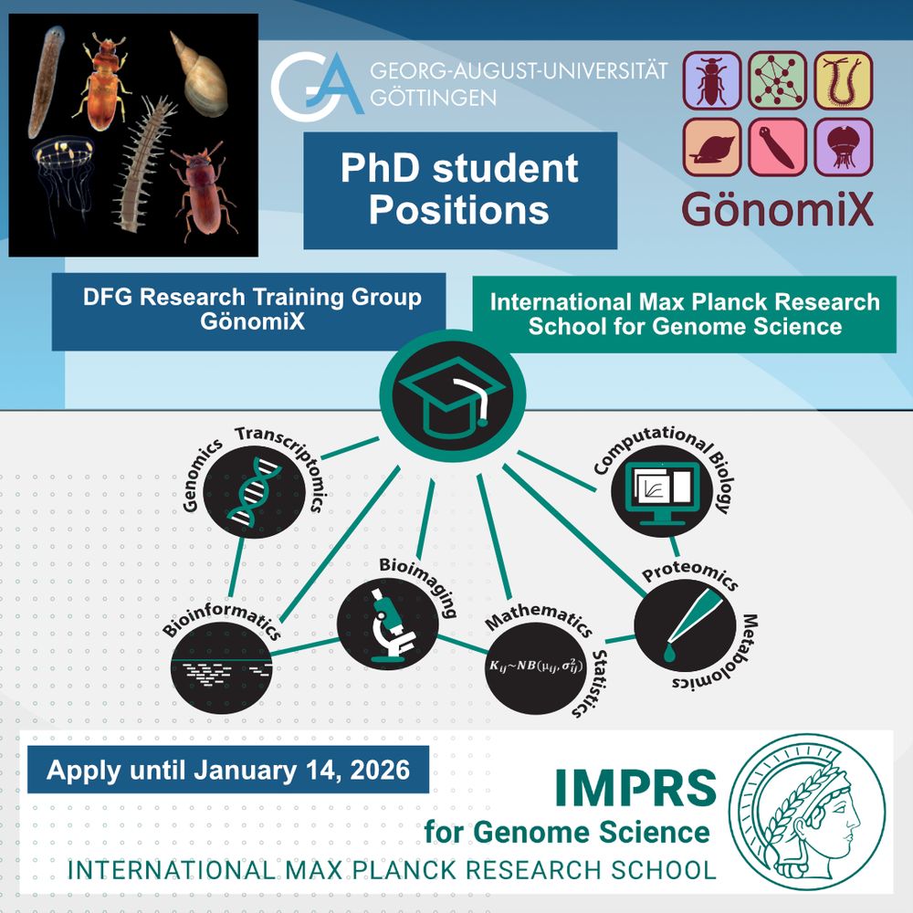 Doctoral hat surrounded by icons representing genome science fields: math, bioimaging, genomics, bioinformatics & more. Logos for Uni Göttingen, GönomiX & IMPRS-GS.