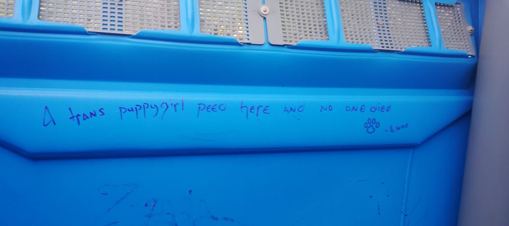 Graffiti in a porta potty that reads "A trans puppygirl peed here and no one died. It is signed with a pawprint and A.Woo 