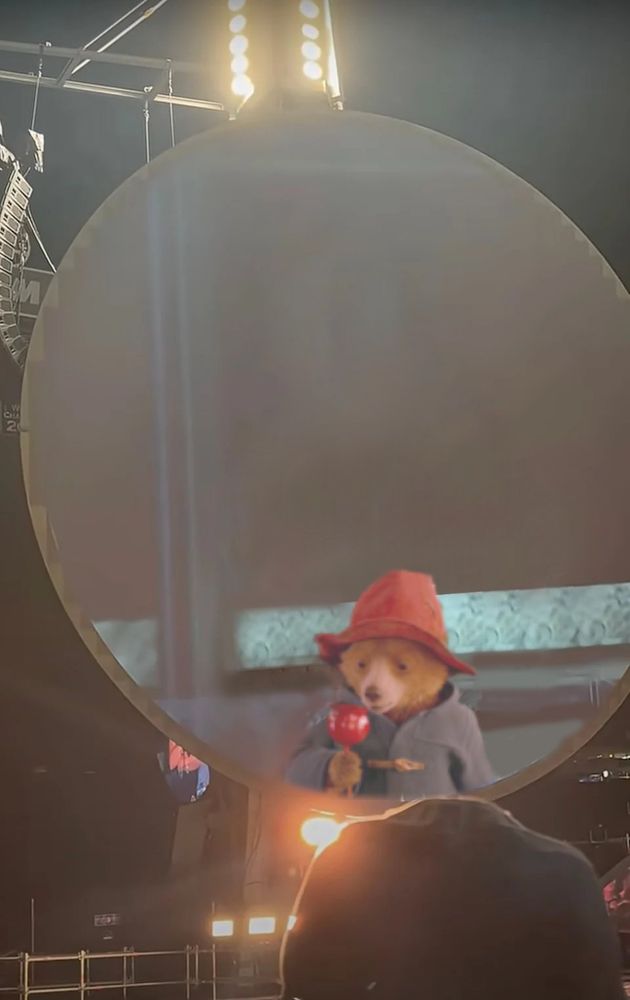 Paddington caught eating a candy apple instead of a marmalade sandwich at a Coldplay Concert
