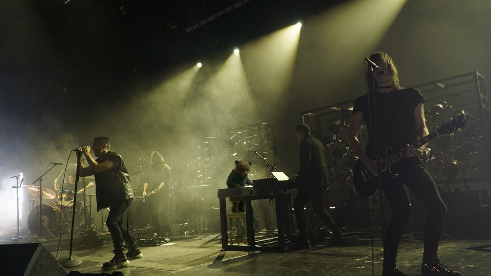 Paddington at a NIN Concert