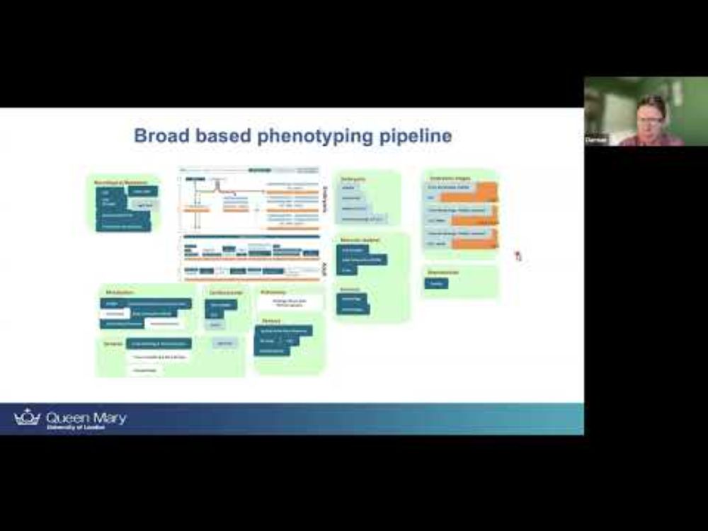 Model organism data and rare diseases