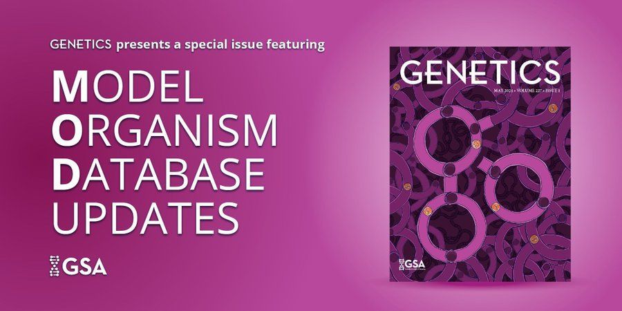 Cover of the GENETICS Model Organism Updates issue.