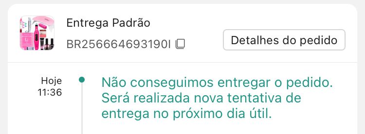 print da shopee “Não conseguimos entregar o pedido. Será realizada nova tentativa de entrega no próximo dia útil.” no caso segunda-feira 
