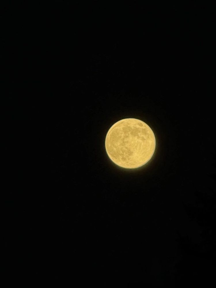 Full moon in Gemini. The last full moon of the year 🌕