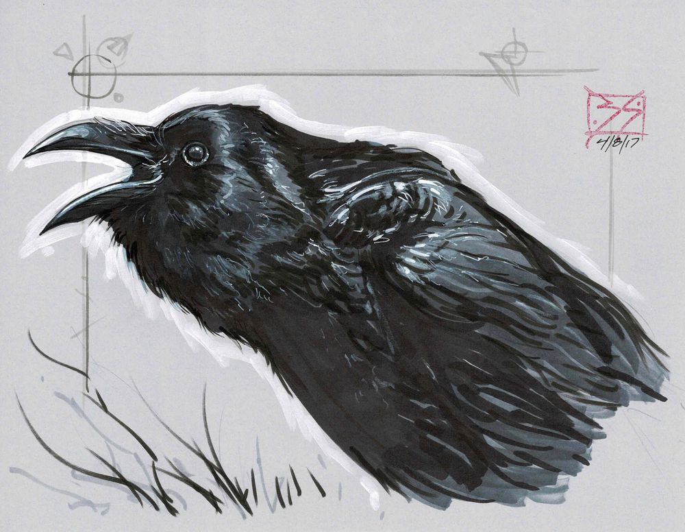 Ink and marker raven.