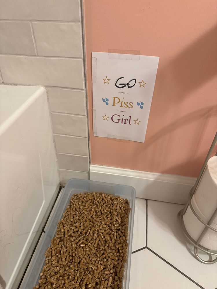 A small litter box on the bathroom floor with a sign taped above it that says “ Go Piss Girl” is big lettering