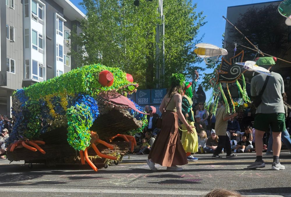 A giant frog sculpture is pulled down thr street by several people in colorful frog outfits while a crowd watches.