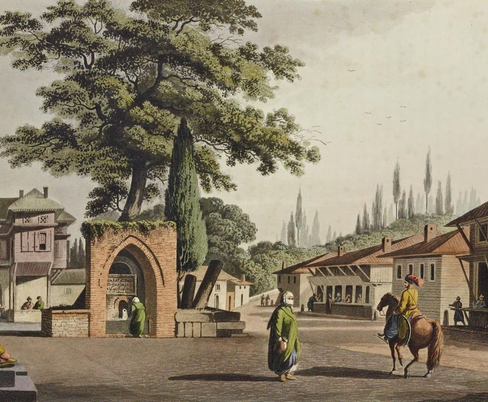 🎨 Luigi Mayer