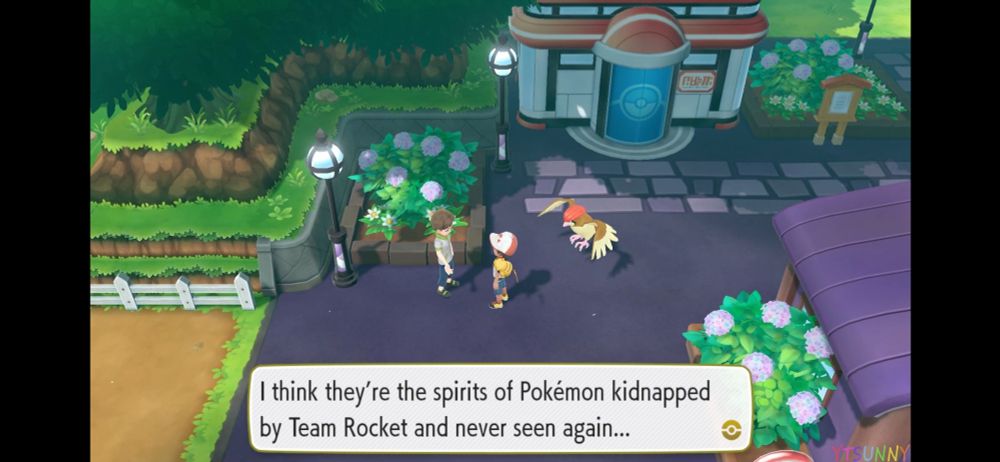 "I think they're the spirits of pokemon kidnapped by team rocket and never seen again"