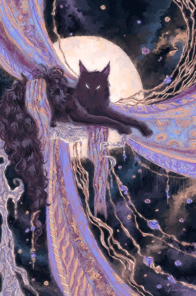 A black cat.