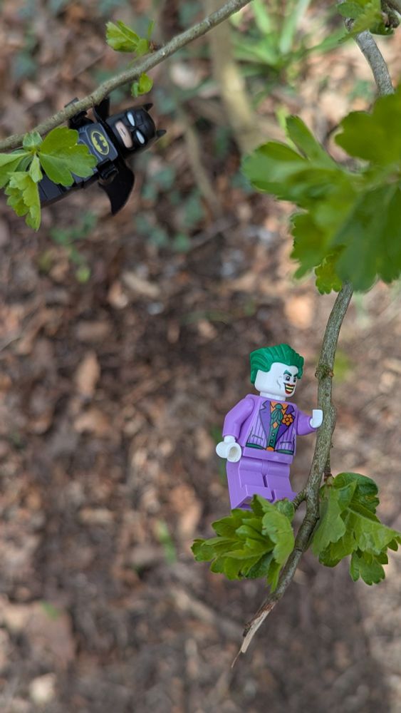 Batman and joker swinging through the trees using their Lego hands to grip a branch