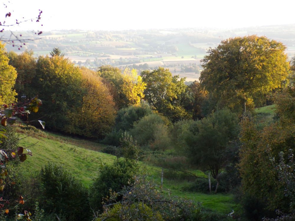 Normandie countryside early morning with the sun beginning to light up the valley, treetops and the hills opposite. 