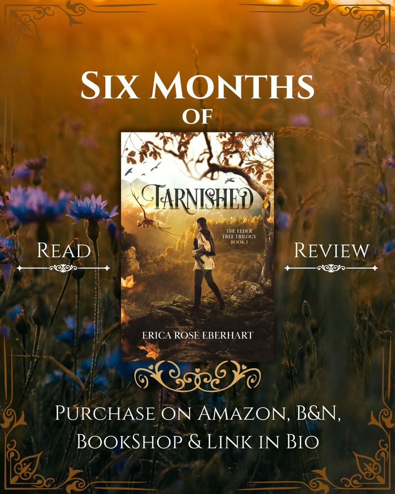 Six months of TARNISHED (featuring the Tarnished book cover). Read, review, purchase on Amazon, B&N, BookShop and Link in Bio