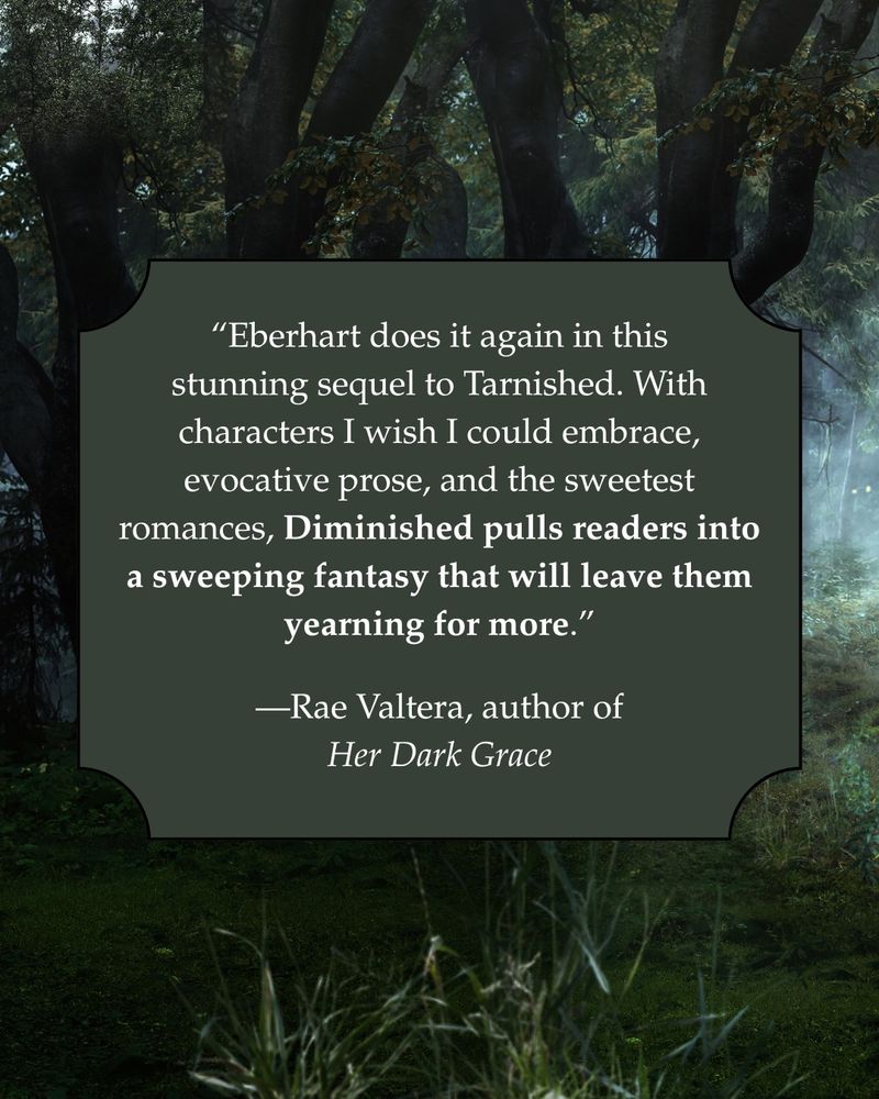 Blurb by Rae Valtera for Diminished