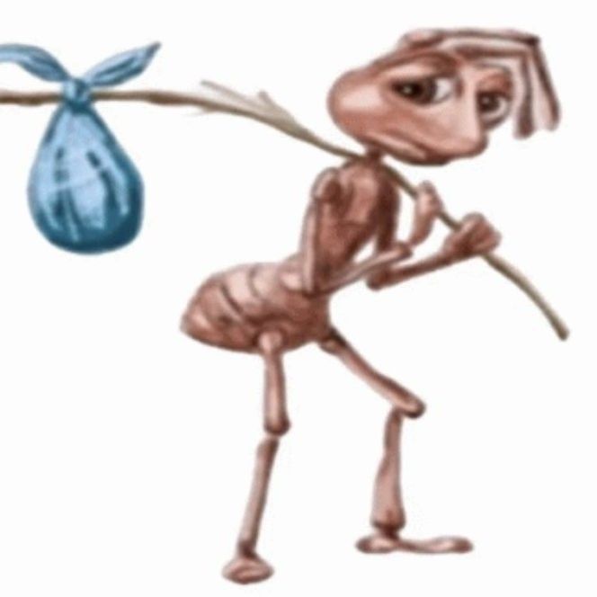 Comment image
