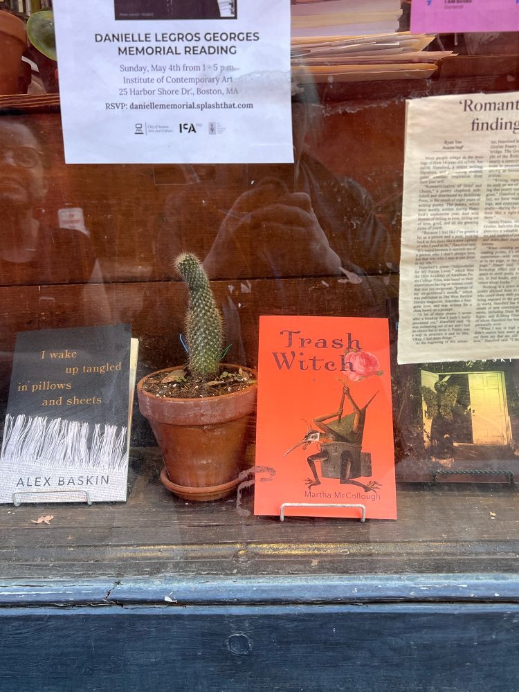 Photo of the display window at the Grolier poetry bookstore with books by Alex Baskin and me, separated by a cactus.