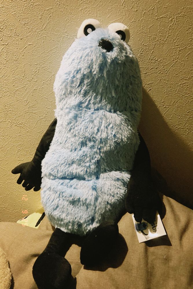 パペットスンスンのぬいぐるみの写真