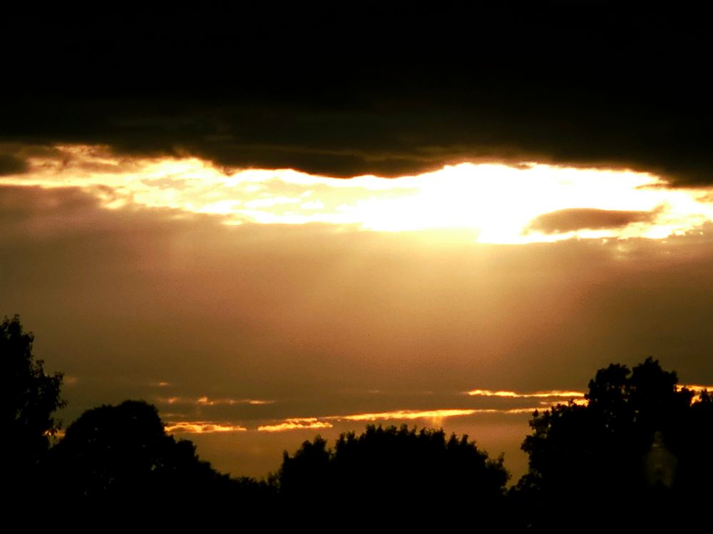 A very golden sunset. The sky is one big cloud layer, save for the one spot in focus.
Sunlight beams through, making rays in the sky. All contrasted against a treeline.