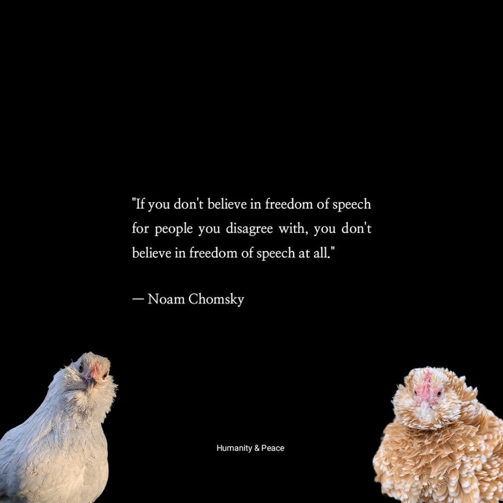 "If you don't believe in freedom of speech for people you disagree with, you don't believe in freedom of speech at all." Noam Chomsky. Additionally, there's a photo of a small gray chicken in the left and a small orange and white chicken on the right